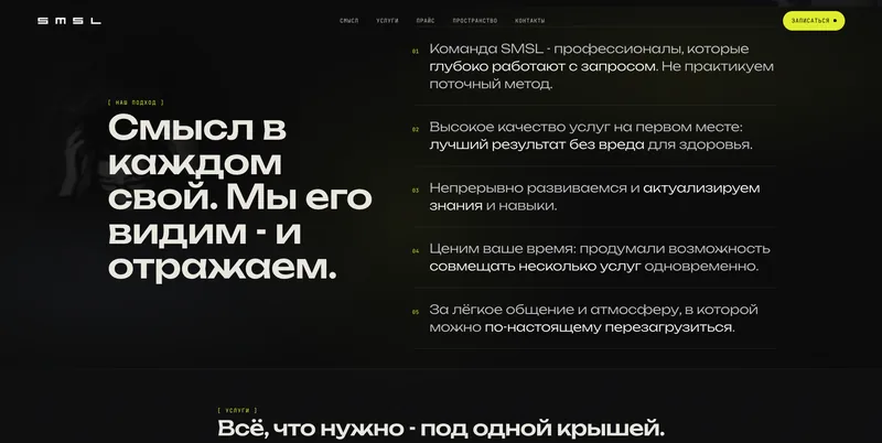Скриншот проекта SMSL, 3